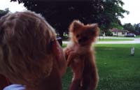 08a_jdm_puppy