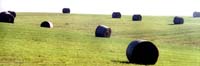 24_rolls_hay1