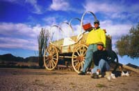 11 wild west survivors I