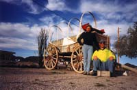 12 wild west survivors II